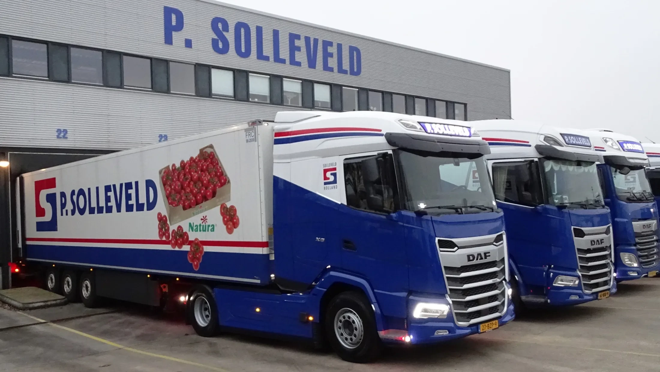 DAF XG 480 FT NGD - Solleveld Export