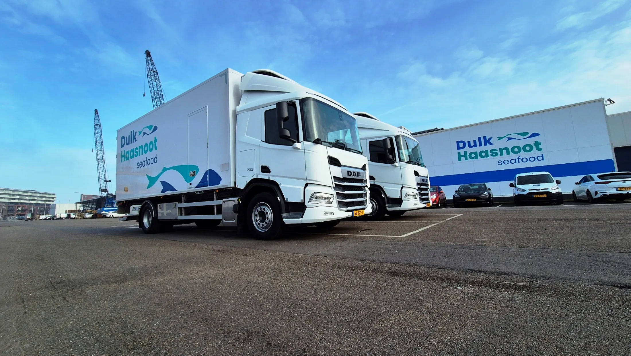 2x DAF XD 340 FA DC - Dulk Haasnoot Seafood 