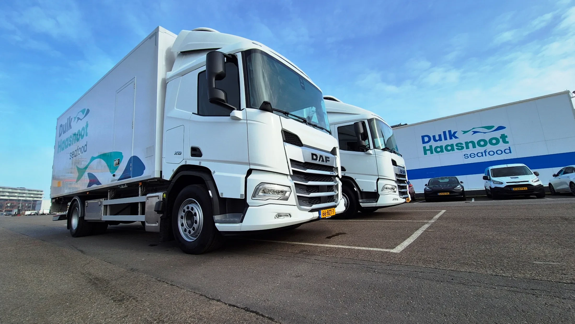 2x DAF XD 340 FA DC - Dulk Haasnoot Seafood 