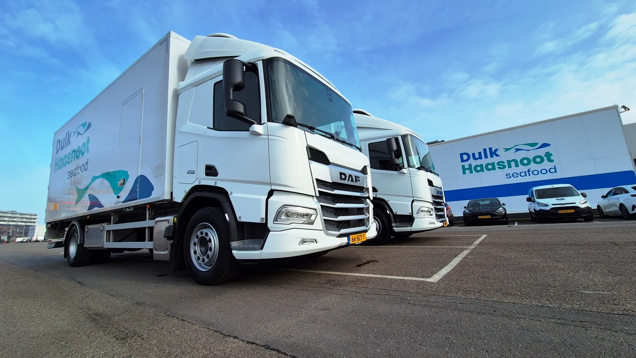 2x DAF XD 340 FA DC - Dulk Haasnoot Seafood 