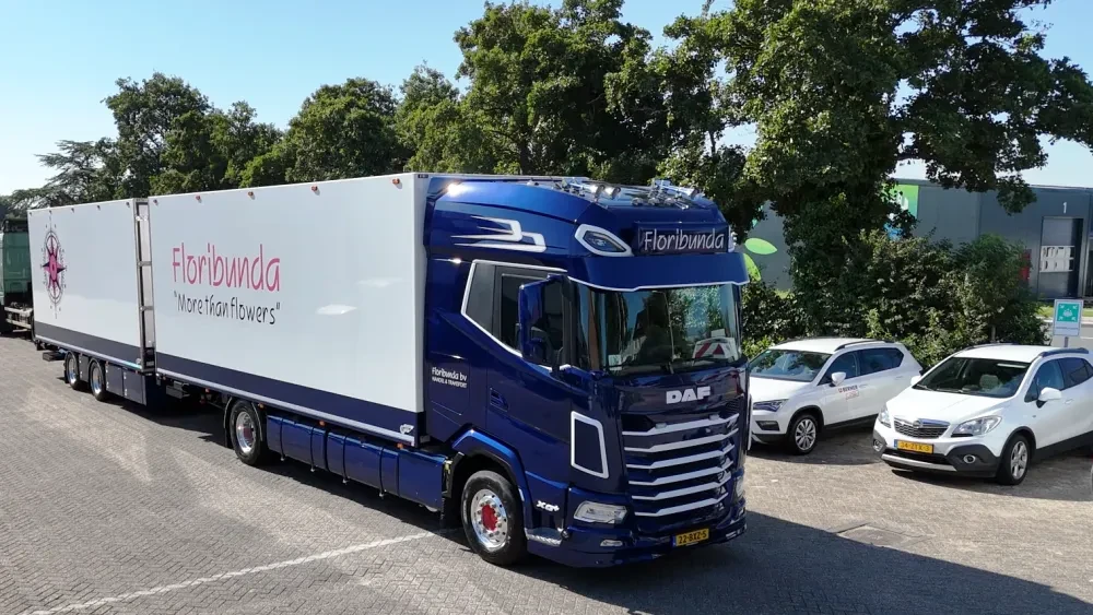 DAF XG+ 480 FA NGD - Floribunda