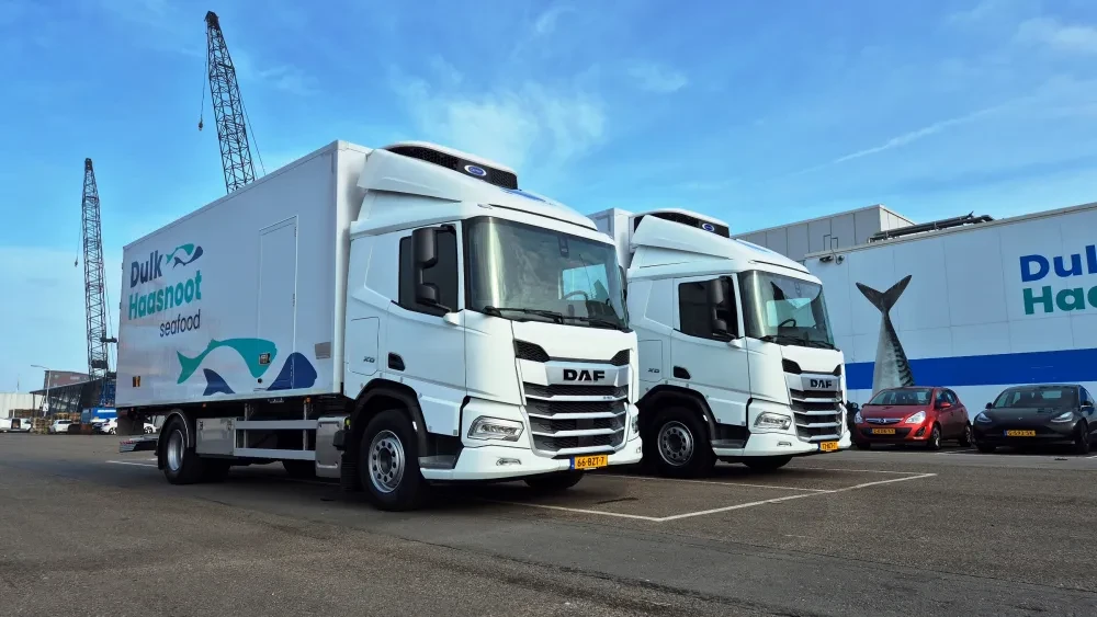 2x DAF XD 340 FA DC - Dulk Haasnoot Seafood 